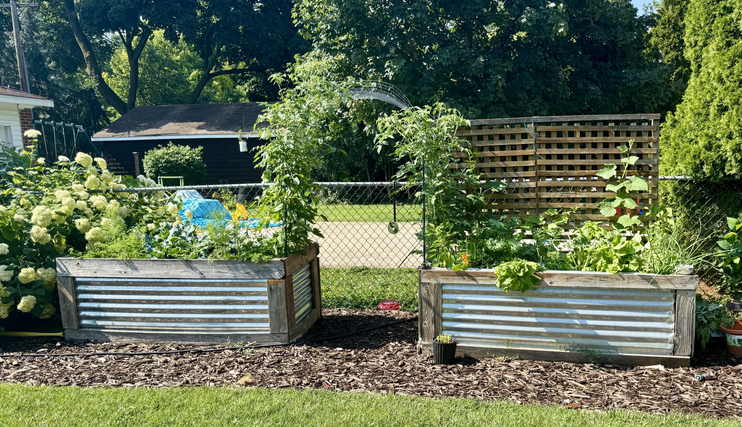 Builds & Blooms Featured Project